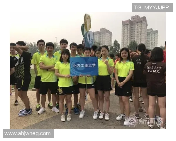 成都乒乓球队在锦标赛中的团队协作表现分析与总结