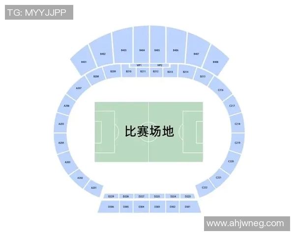 南京足球队在钻石联赛积分榜上以87分稳居第一名展现强大实力