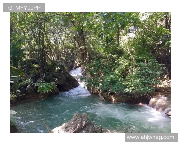 足球明星与女明星的完美壁纸合集让你领略不同风采的魅力与激情